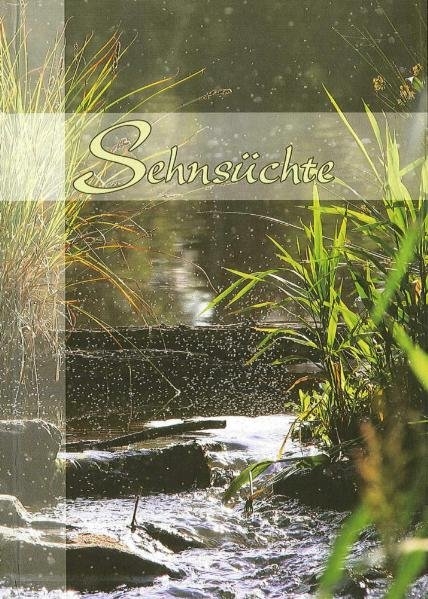 Sehns&uuml;chte - Martin Koppmann