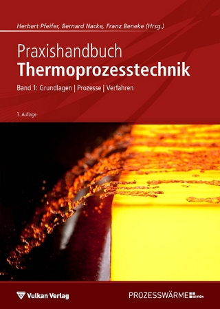 Praxishandbuch Thermoprozesstechnik