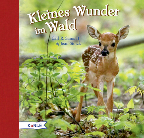 Kleines Wunder im Wald - Carl Sams II., Jean Stoick
