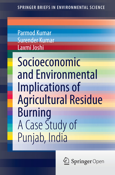 Socioeconomic and Environmental Implications of Agricultural Residue Burning - Parmod Kumar, Surender Kumar, Laxmi Joshi