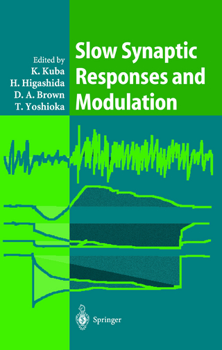 Slow Synaptic Responses and Modulation