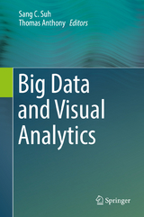Big Data and Visual Analytics - 
