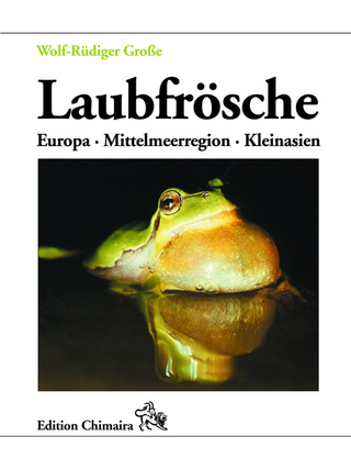 Laubfrösche – Europa Mittelmeerregion, Kleinasien
