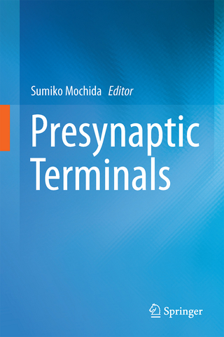Presynaptic Terminals