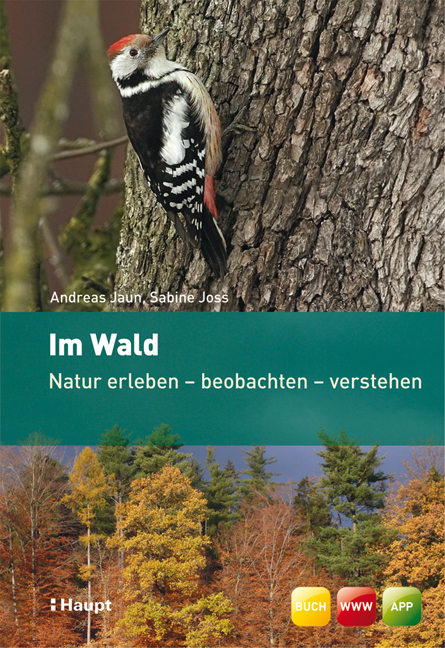 Im Wald - Andreas Jaun, Sabine Joss