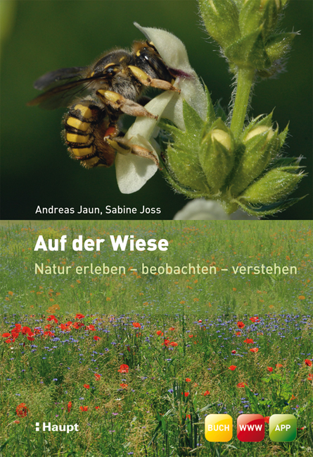 Auf der Wiese - Andreas Jaun, Sabine Joss