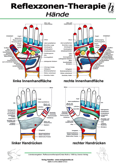 Reflexzonen-Therapie Poster - H&auml;nde DIN A2 - 