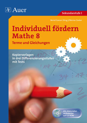 Individuell fördern Mathe 8 Terme und Gleichungen