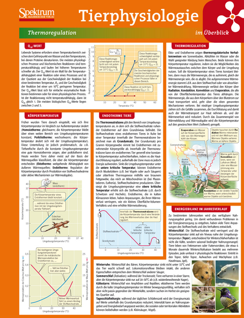 Lerntafel: Tierphysiologie im &Uuml;berblick