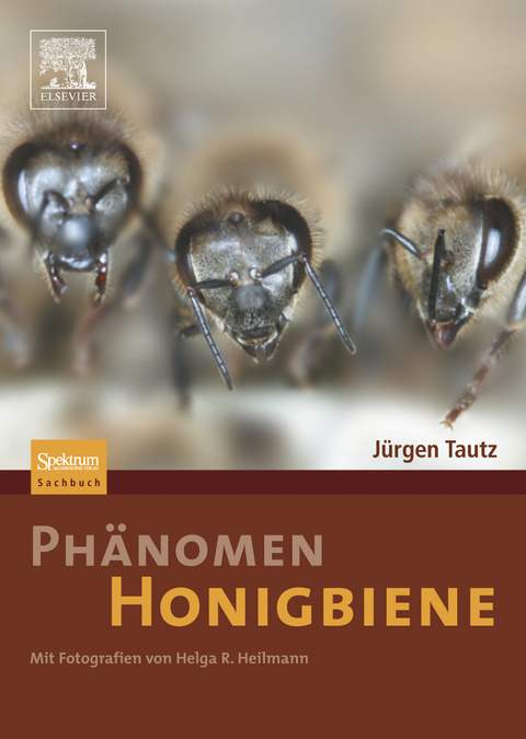 Ph&auml;nomen Honigbiene - J&uuml;rgen Tautz, Helga R. Heilmann