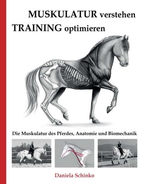 Muskulatur verstehen - Training optimieren - Daniela Schinko