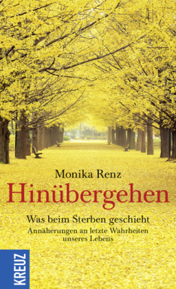 Hin&uuml;bergehen - Monika Renz