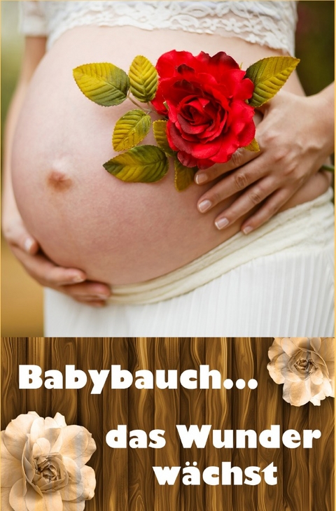 Babybauch...das Wunder w&auml;chst - Laura Paulsen
