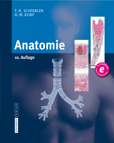 Anatomie - Theodor H. Schiebler, Horst-W. Korf