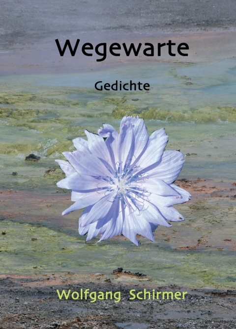 Wegewarte - Wolfgang Schirmer