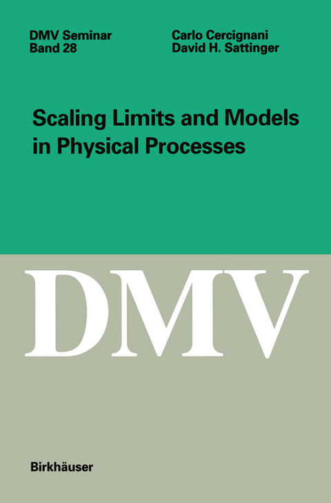 Scaling Limits and Models in Physical Processes - Carlo Cercignani, David Sattinger