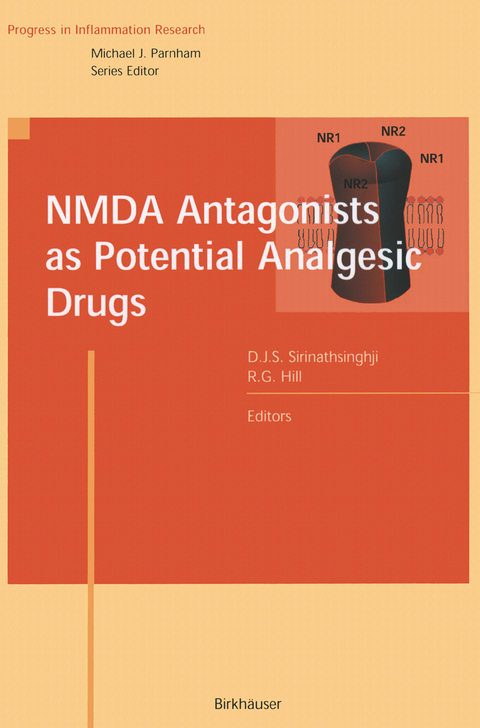 NMDA Antagonists as Potential Analgesic Drugs - 