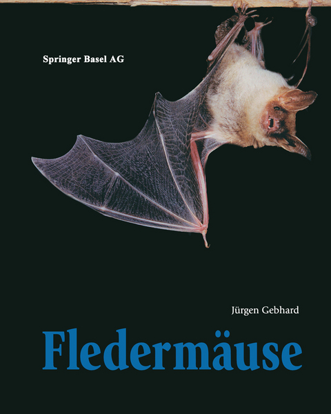 Flederm&auml;use - J&uuml;rgen Gebhard