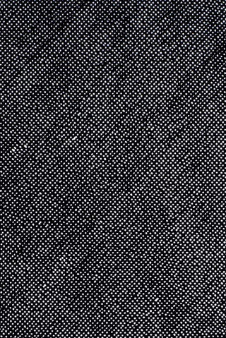 SKULPTUR PROJEKTE MÜNSTER 2017