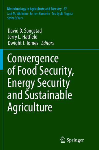 Convergence of Food Security, Energy Security and Sustainable Agriculture
