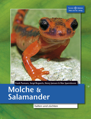 Molche und Salamander halten und züchten