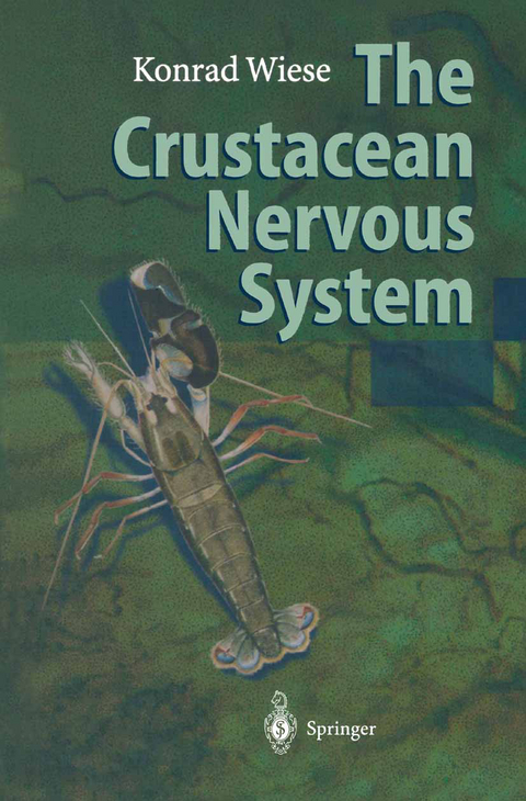 The Crustacean Nervous System - 