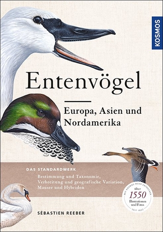 Entenvögel