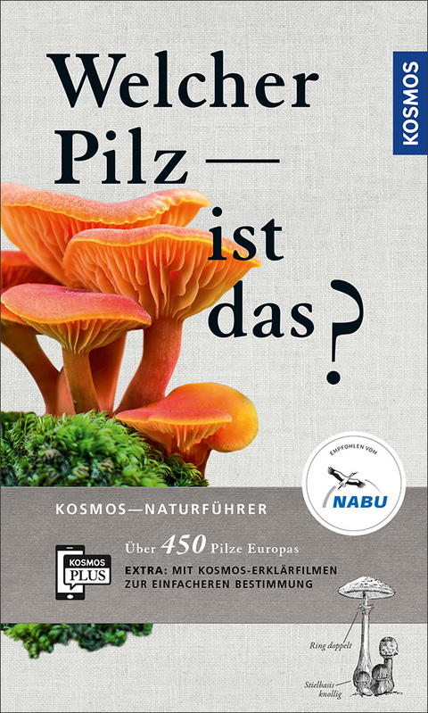 Welcher Pilz ist das? - Andreas Gminder, Tanja B&ouml;hning