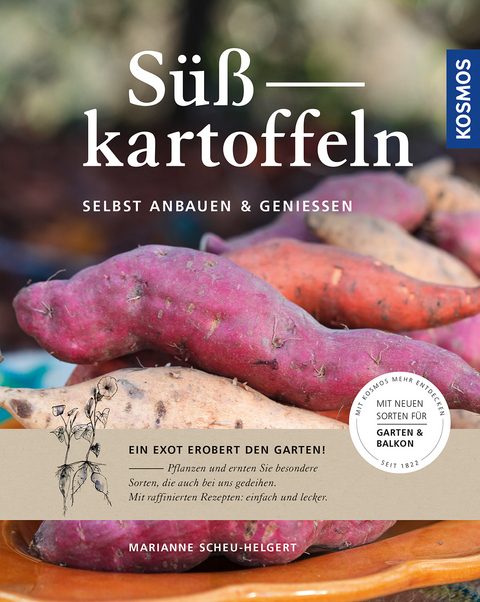 Süßkartoffeln - Marianne Scheu-Helgert