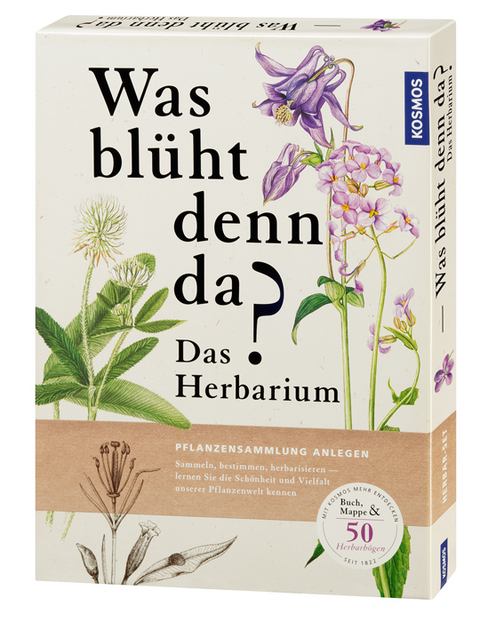 Was bl&uuml;ht denn da? - Das Herbarium - Doris Grappendorf