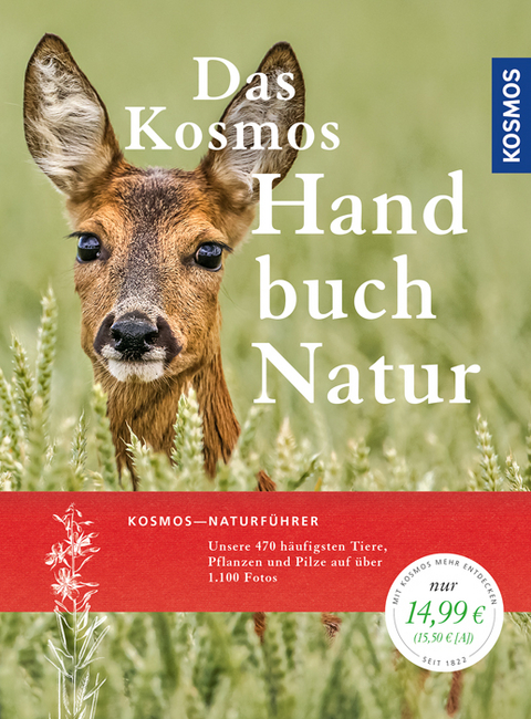 Handbuch Natur - Wolfgang Dreyer, Ulrich Schmid, Dreyer Eva-Maria