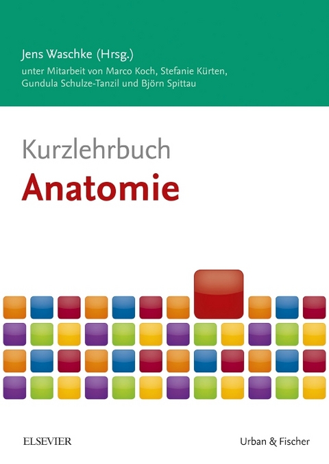 Kurzlehrbuch Anatomie - Marco Koch, Stefanie K&uuml;rten, Gundula Schulze-Tanzil, Bj&ouml;rn Spittau