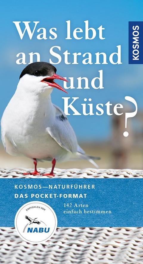 Was lebt an Strand und K&uuml;ste? - Ute Wilhelmsen