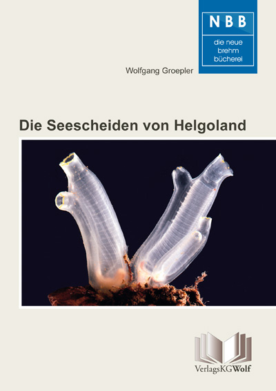 Die Seescheiden von Helgoland - Wolfgang Groepler