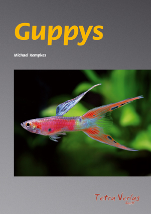 Guppys - Michael Kempkes