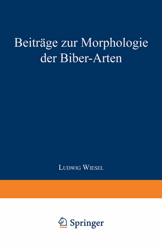 Beiträge zur Morphologie der Biber-Arten