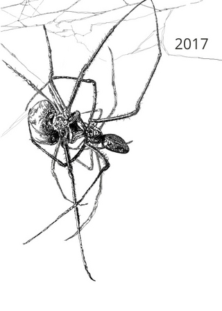 Anna-Maria Dirrigl | Kalender 2017