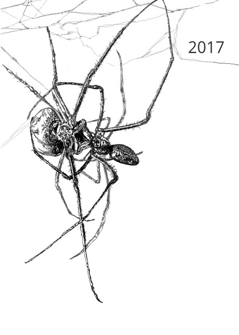 Anna-Maria Dirrigl | Kalender 2017 - Anna-Maria Dirrigl