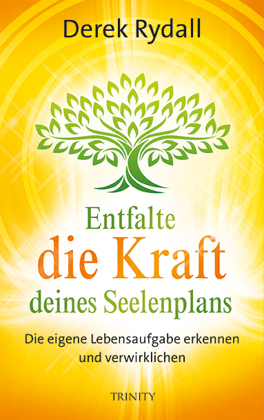 Entfalte die Kraft deines Seelenplans - Derek Rydall