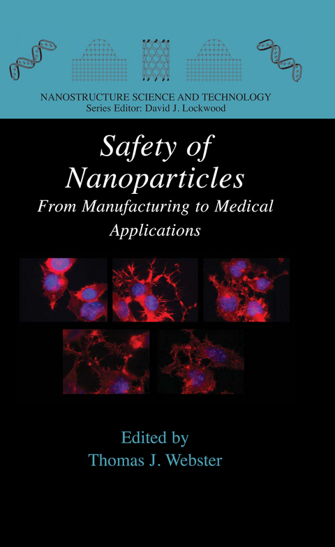 Safety of Nanoparticles - 
