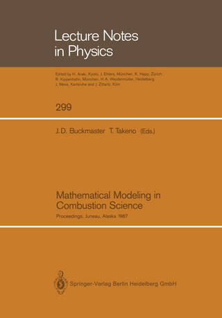 Mathematical Modeling in Combustion Science