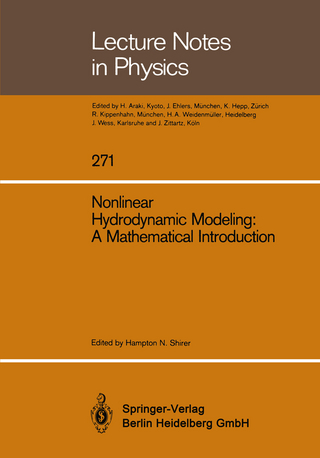 Nonlinear Hydrodynamic Modeling: A Mathematical Introduction