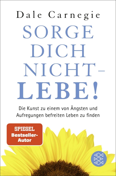 Sorge dich nicht - lebe! - Dale Carnegie