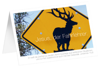 Jesus, der Fahrlehrer - Faltkarten (5 Stück)