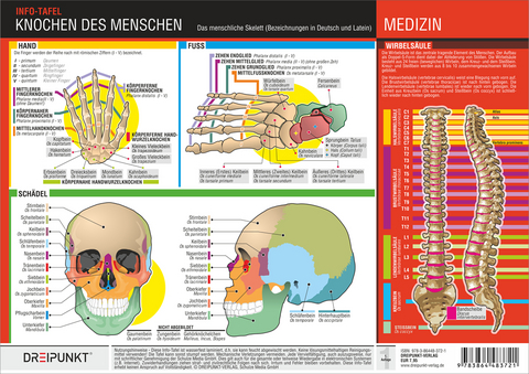 Knochen des Menschen - Michael Schulze
