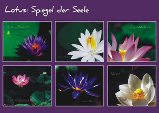 Lotus - Spiegel der Seele