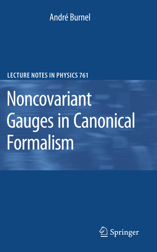 Noncovariant Gauges in Canonical Formalism