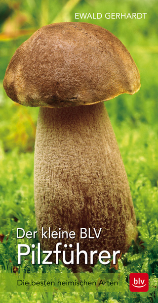 Der kleine BLV Pilzführer