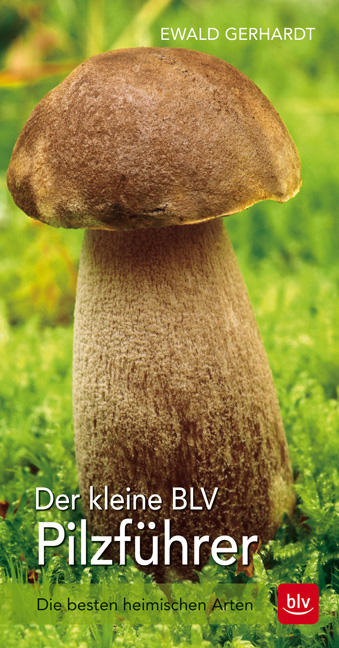 Der kleine BLV Pilzführer - Ewald Gerhardt