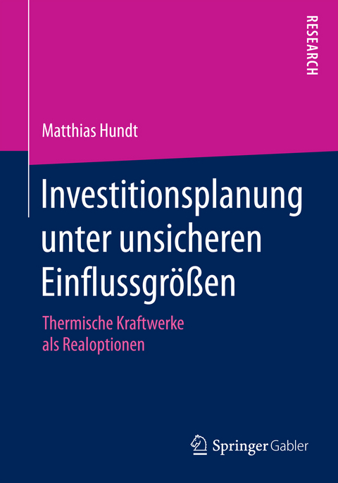 Investitionsplanung unter unsicheren Einflussgrößen - Matthias Hundt